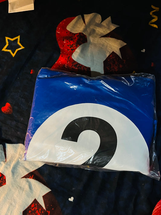 2 POOL BALL BEAN BAG